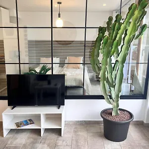 Cactus Apartment Playa Fanabe